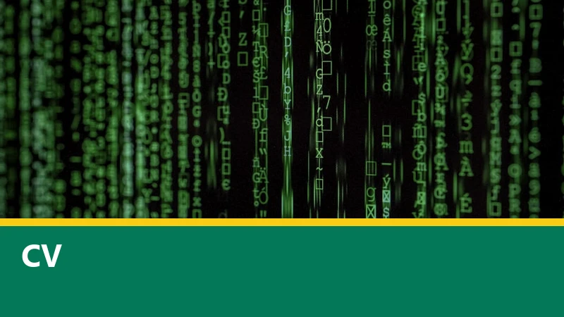 Computer Vision: How Machines and Computers See the World